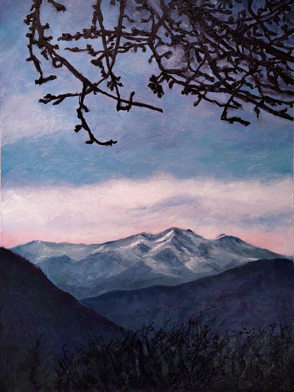 🔴 IL PARADISO DEL KASHMIR - Oil on canvas board 30x40cm